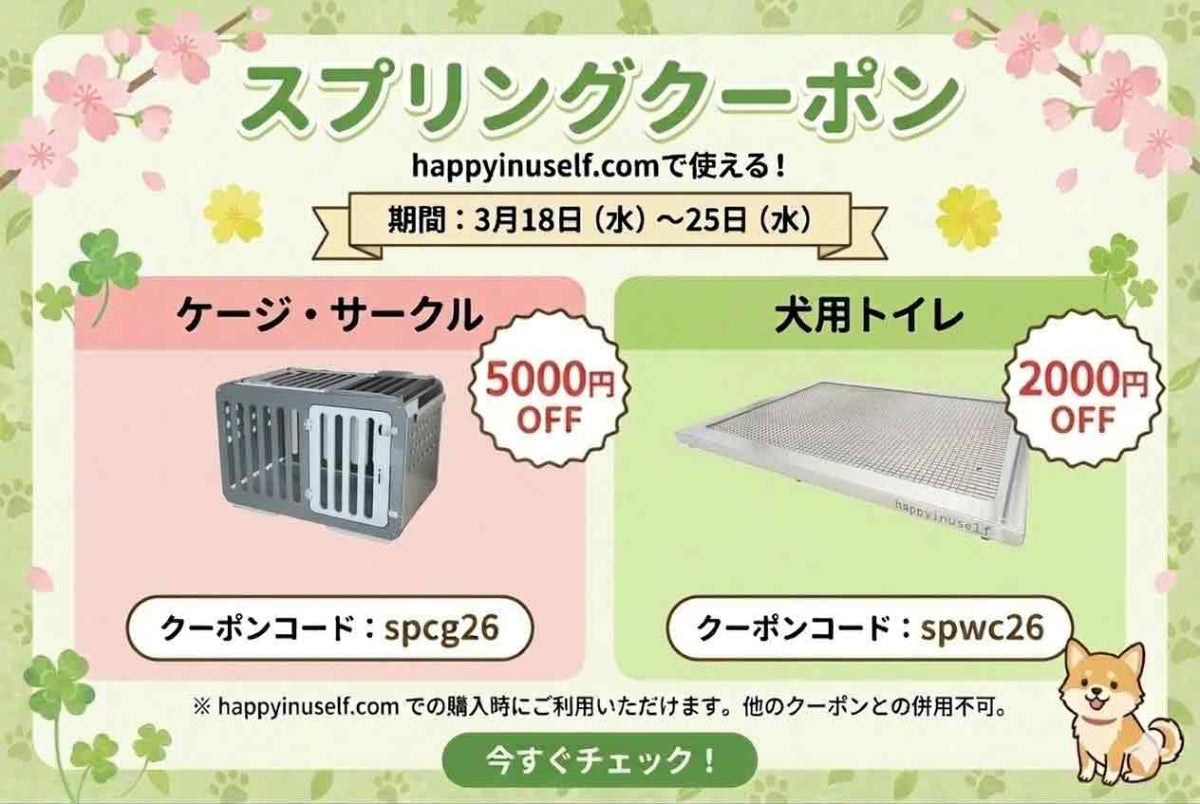 スプリングクーポン発行中