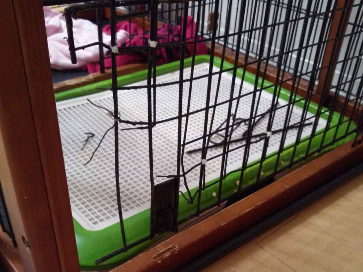 犬の破壊問題｜本当に頑丈です！ 溶接ではなく板を抜いて加工|happyinuself