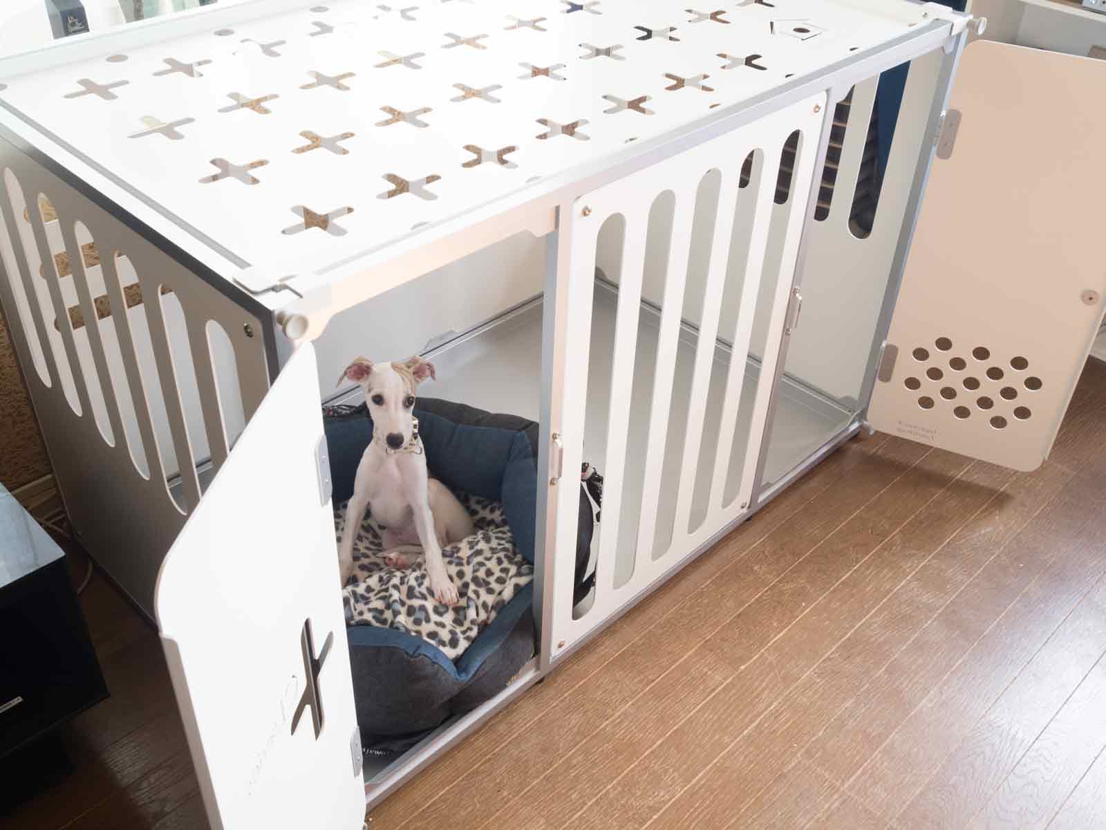 C Series Premium Line CL-126 Medium dog+compatible model