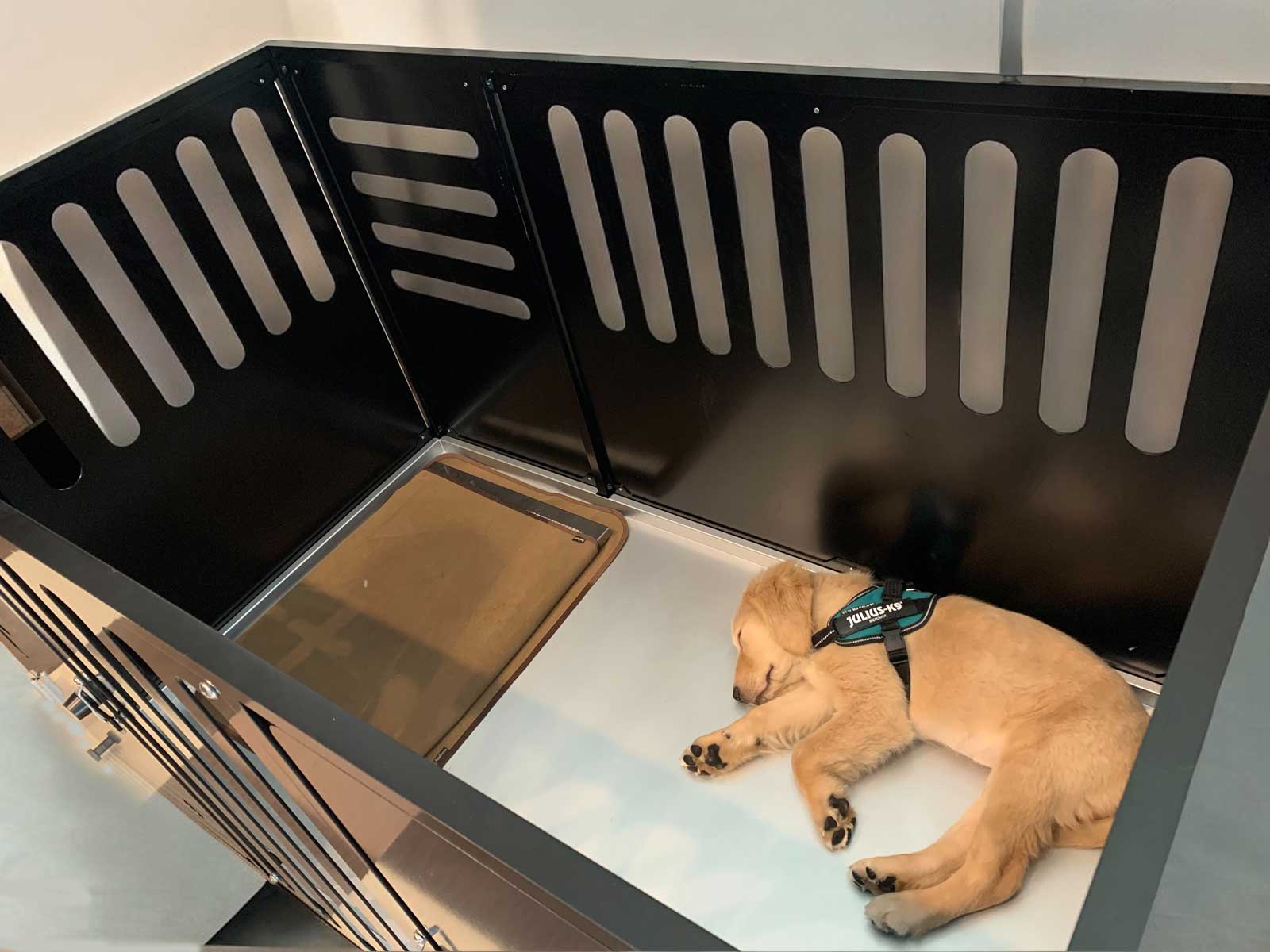 C Series Premium Line CL-126 Medium dog+compatible model