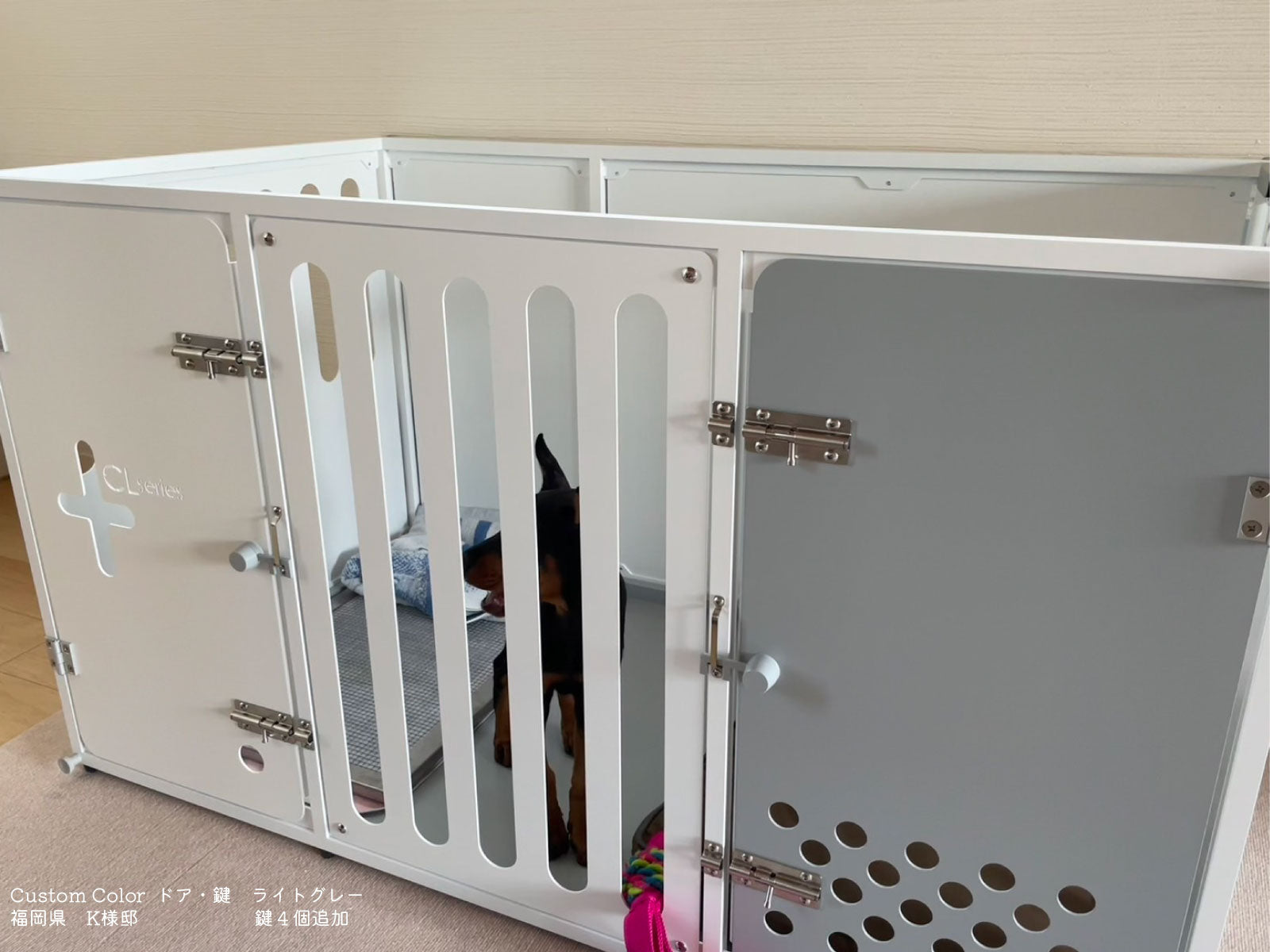C Series Premium Line CL-126 Medium dog+compatible model