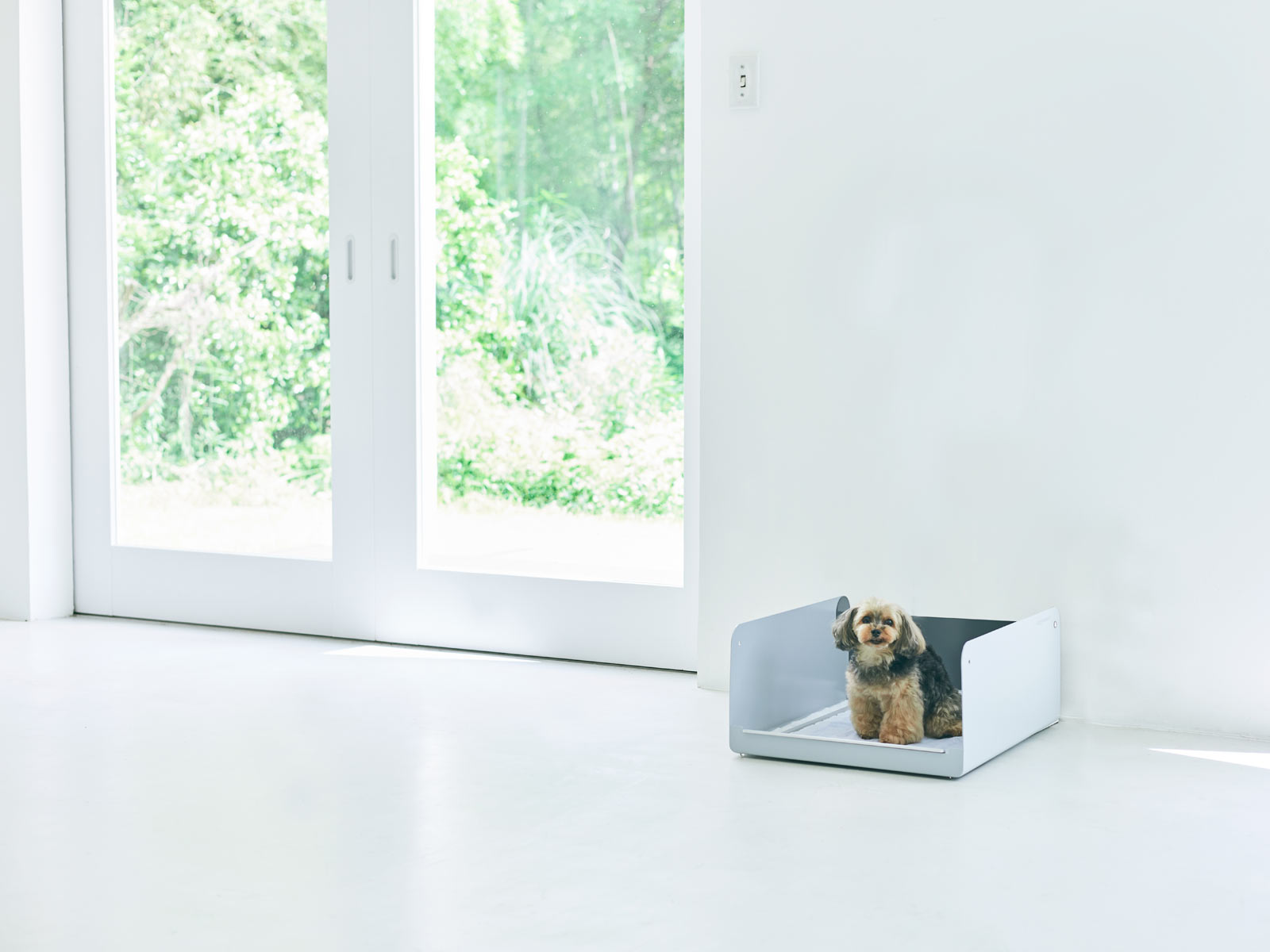 壁付犬用トイレワイドサイズ